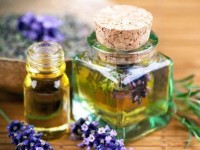 10 простых способов защититься от комаров