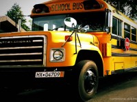 Система образования и зарплаты учителей в США