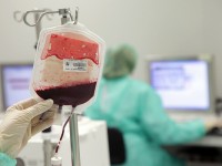 Как не заработать сепсис