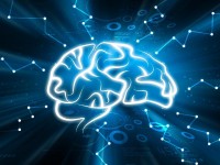 Новое исследование показало: стресс может уменьшить объём мозга