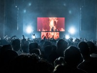 Кричать на концертах и стадионах опасно — и вот почему