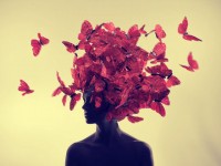 Как наши мысли влияют на здоровье и физическую форму