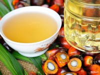 Правда ли пальмовое масло забивает кишечник