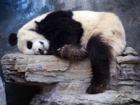 Рекомендации для здорового сна