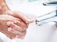 Как долго живут бактерии и вирусы в вашем доме