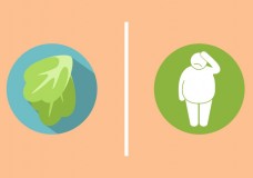 Как не растолстеть на низкокалорийных продуктах