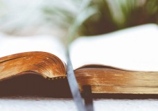 Как чтение помогает совершенствовать дух и тело