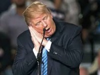 Можно ли жить, уделяя сну 3 часа в день