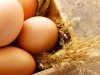 Почему американцы моют яйца, а мы — нет?