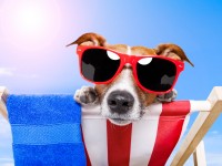 9 вещей, которые нужно обязательно сделать, пока не закончилось лето