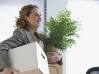 Почему дома и в офисе должны быть растения