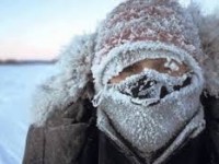 Как научиться не болеть