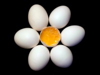 Вред яичных желтков