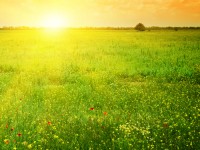 5 составляющих для хорошего утра