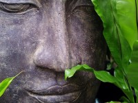 5 дыхательных техник, помогающих избавиться от стресса