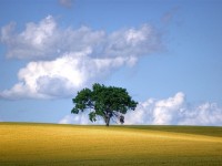 Как сделать свой день лучше за 60 секунд