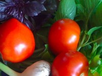 Идем на пикник: вкусные и полезные идеи