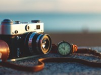 ОПРОС: помогают ли вам кактусы в борьбе с компьютерной «радиацией»?