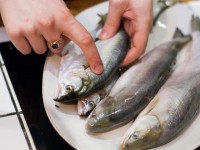 Выбор и хранение рыбы и морепродуктов