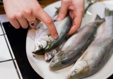 Выбор и хранение рыбы и морепродуктов