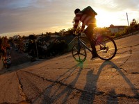 Дайджест ЛХ. Выпуск 20