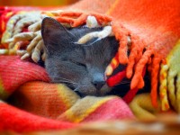 Как согреться после мороза