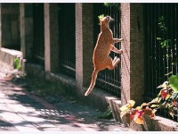 Как воспитать силу воли с помощью упражнения для улучшения памяти