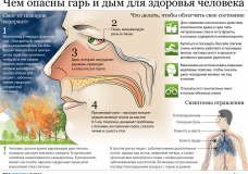 Инфографика: Опасности, которые несут дым и гарь и как себе помочь