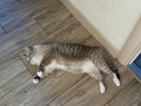 Поели, поспали и… похудели